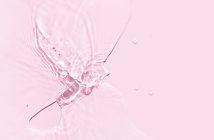 Prise en charge actuelle du SGUM et de la sécheresse vulvo-vaginale
