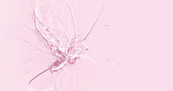 Prise en charge actuelle du SGUM et de la sécheresse vulvo-vaginale